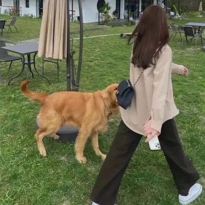 走佬孖宝